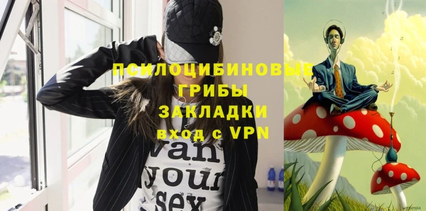 ГАЛЛЮЦИНОГЕННЫЕ ГРИБЫ Няндома