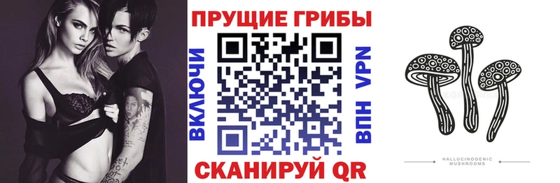 Псилоцибиновые грибы Cubensis  Долинск 